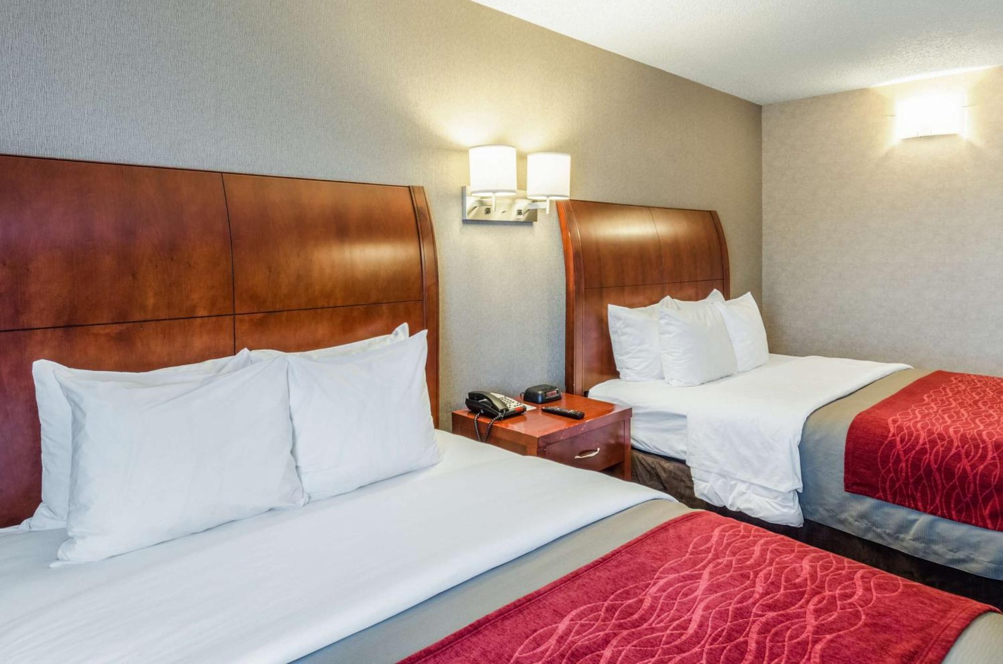 Comfort Inn & Suites West Springfield Exteriör bild